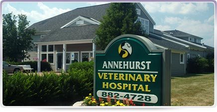 Annehurst Veterinary Hospital