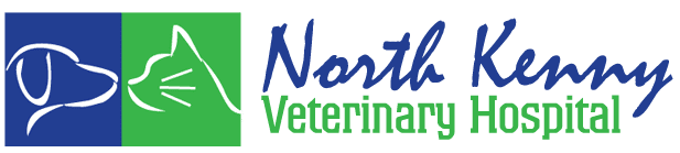 NKVH-horizontal-logo