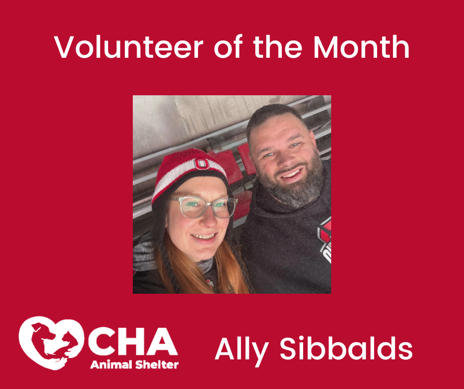 Volunteer of the Month