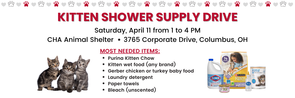 Kitten Shower Banner