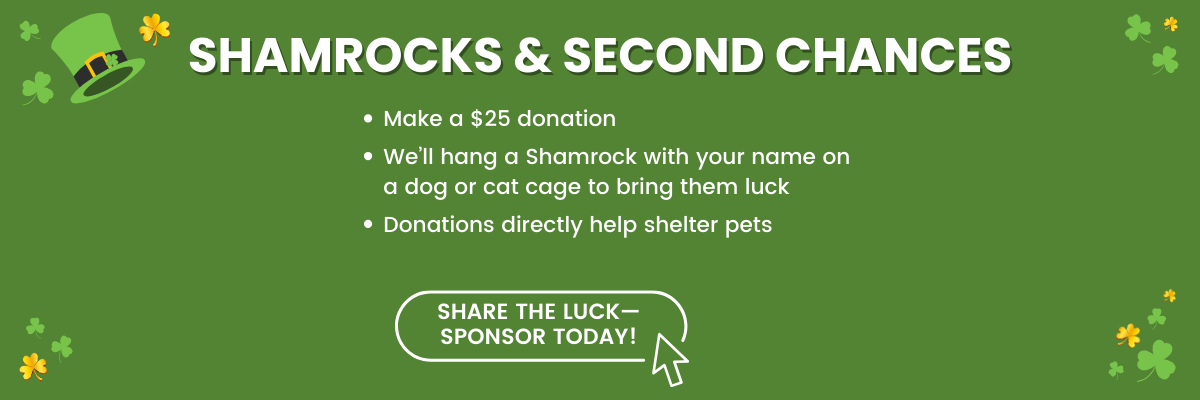 Shamrocks and second Chances (1389 x 180 px)