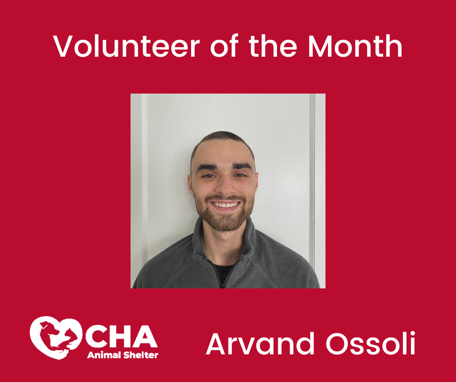 Volunteer of the Month