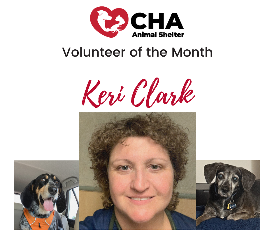 Volunteer of the Month (1)