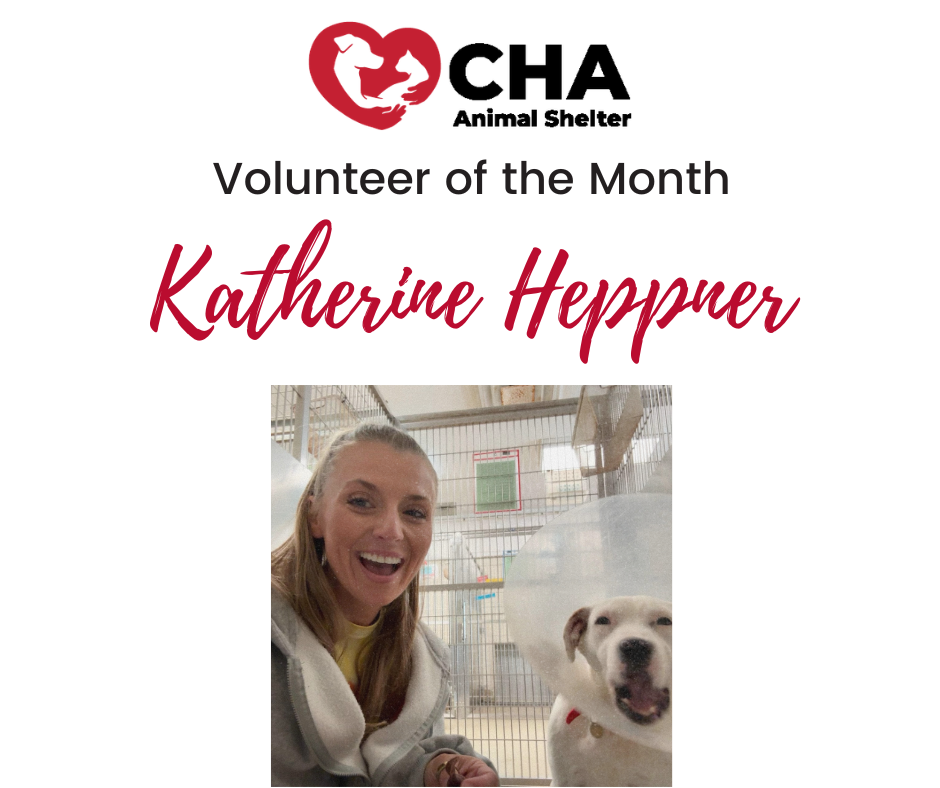 Volunteer of the Month (2)