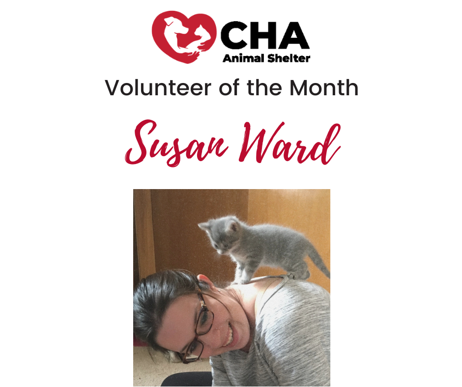 Volunteer of the Month (1)