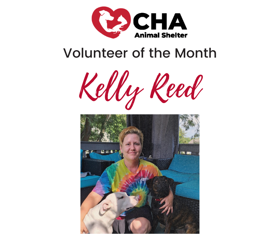Volunteer of the Month